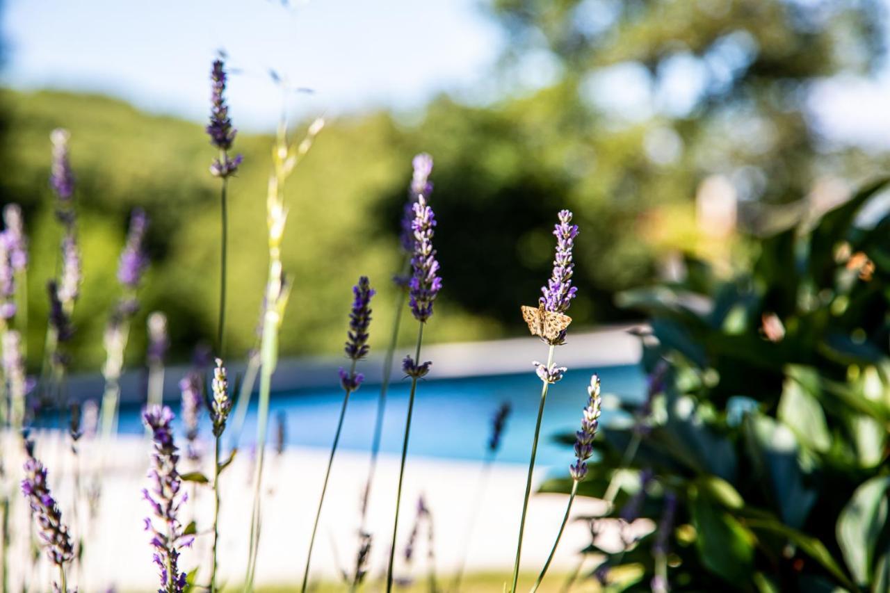 Saint-Paul-en-Pareds Le Mas Des Roches Proche Puy Du Fou Bed & Breakfast エクステリア 写真