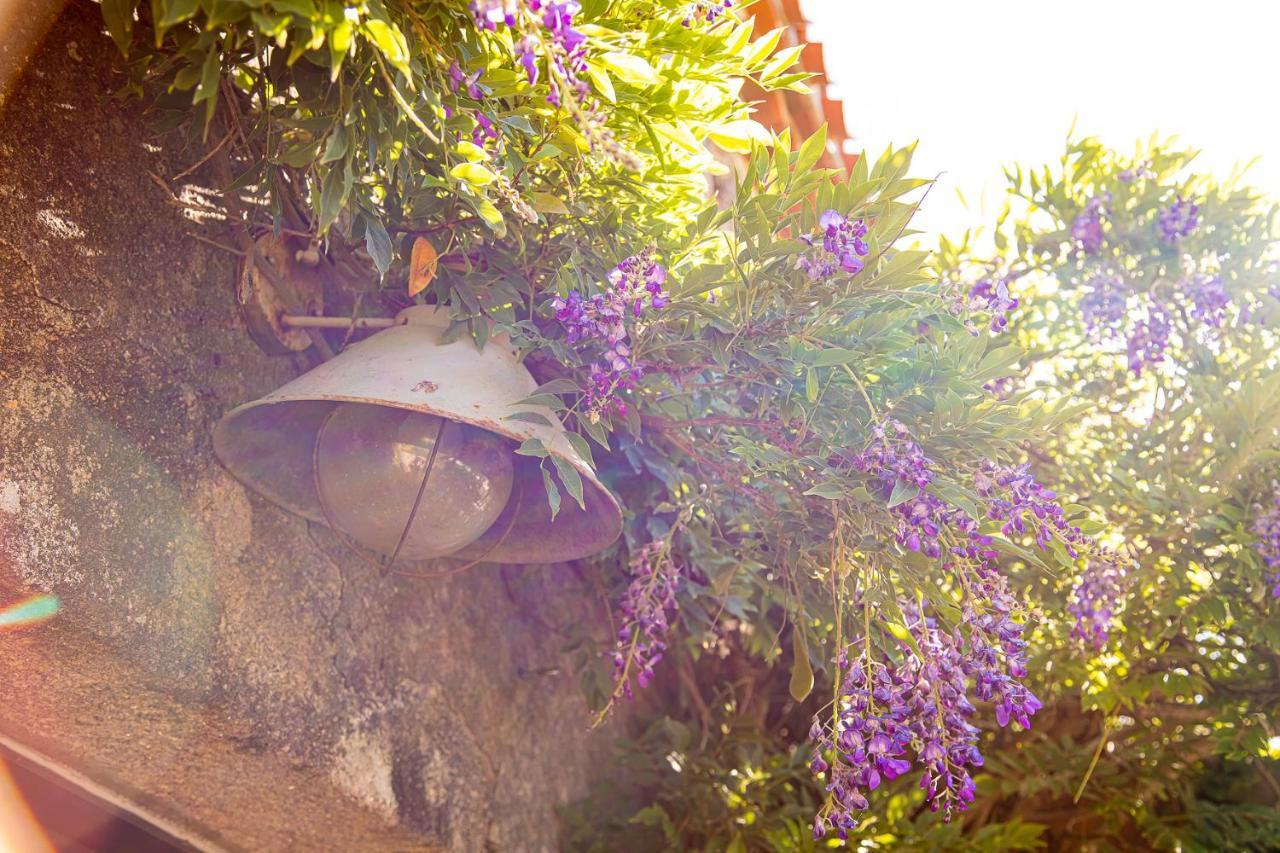 Saint-Paul-en-Pareds Le Mas Des Roches Proche Puy Du Fou Bed & Breakfast エクステリア 写真