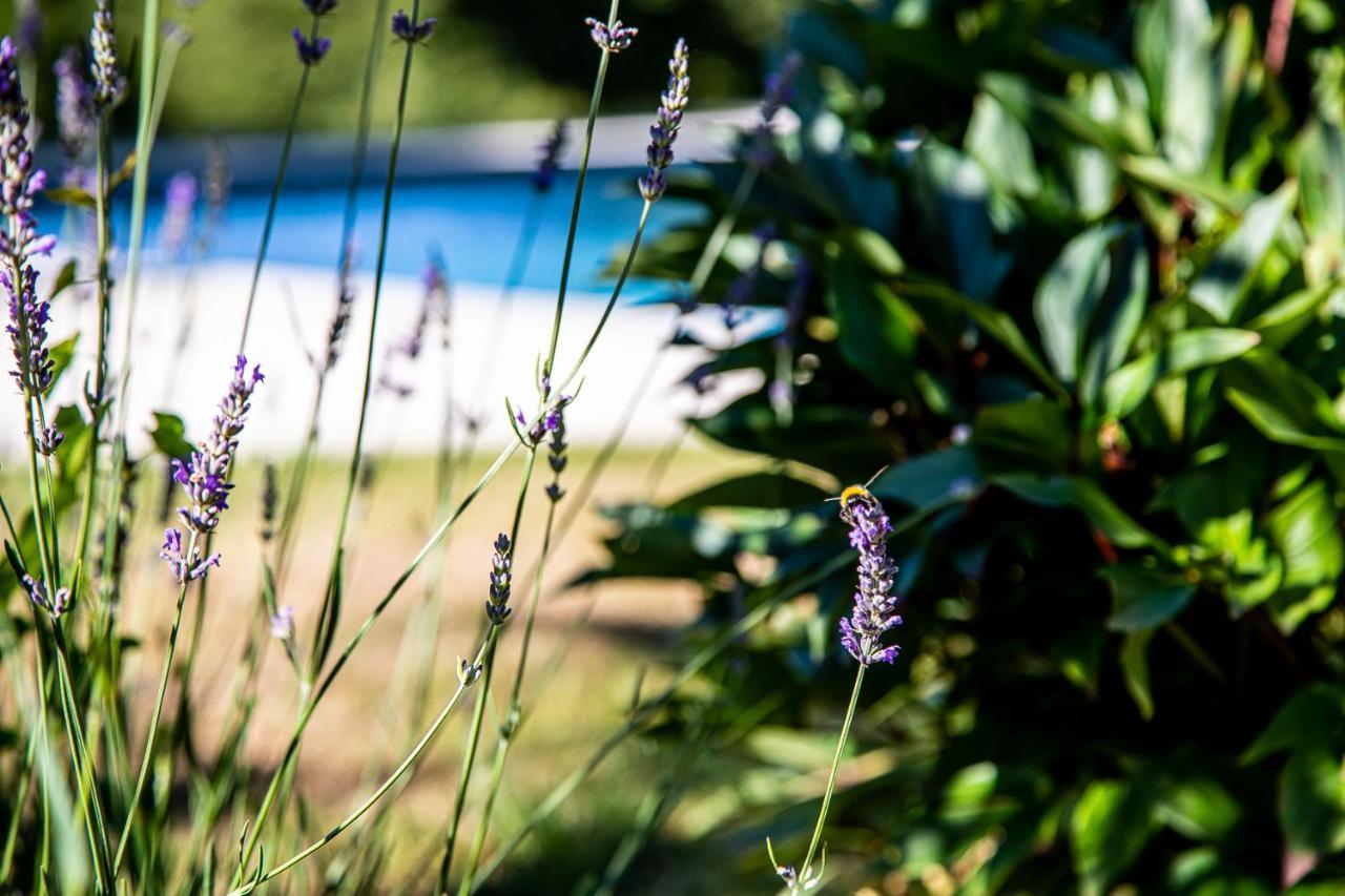 Saint-Paul-en-Pareds Le Mas Des Roches Proche Puy Du Fou Bed & Breakfast エクステリア 写真